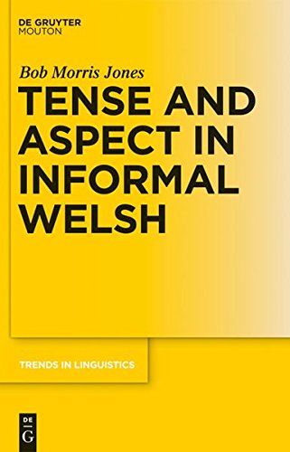 Tense and Aspect in Informal Welsh (Trends in Linguistics. Studies and Monographs [TiLSM], Band 223)
