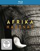 Afrika hautnah (Kongo, Virunga-Kette, Turkana-See, Äthiopien, Südafrika) [2 Blu-ray]