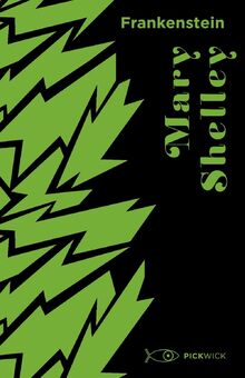 Frankenstein von Shelley, Mary  | Buch | Zustand gut