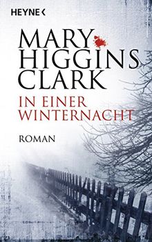 In einer Winternacht: Roman