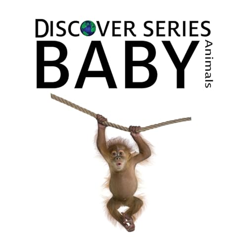 Baby Animals (Discover)