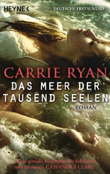 Das Meer der tausend Seelen: Roman