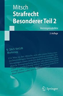 Strafrecht, Besonderer Teil 2: Vermögensdelikte (Springer-Lehrbuch)