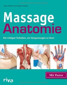 Massage-Anatomie: Die richtigen Techniken, um Verspannungen zu lösen