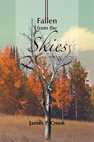 Fallen from the Skies