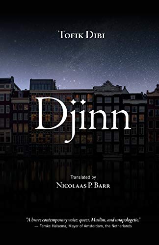 Tofik Dibi Djinn (Queer Politics And Cultures)