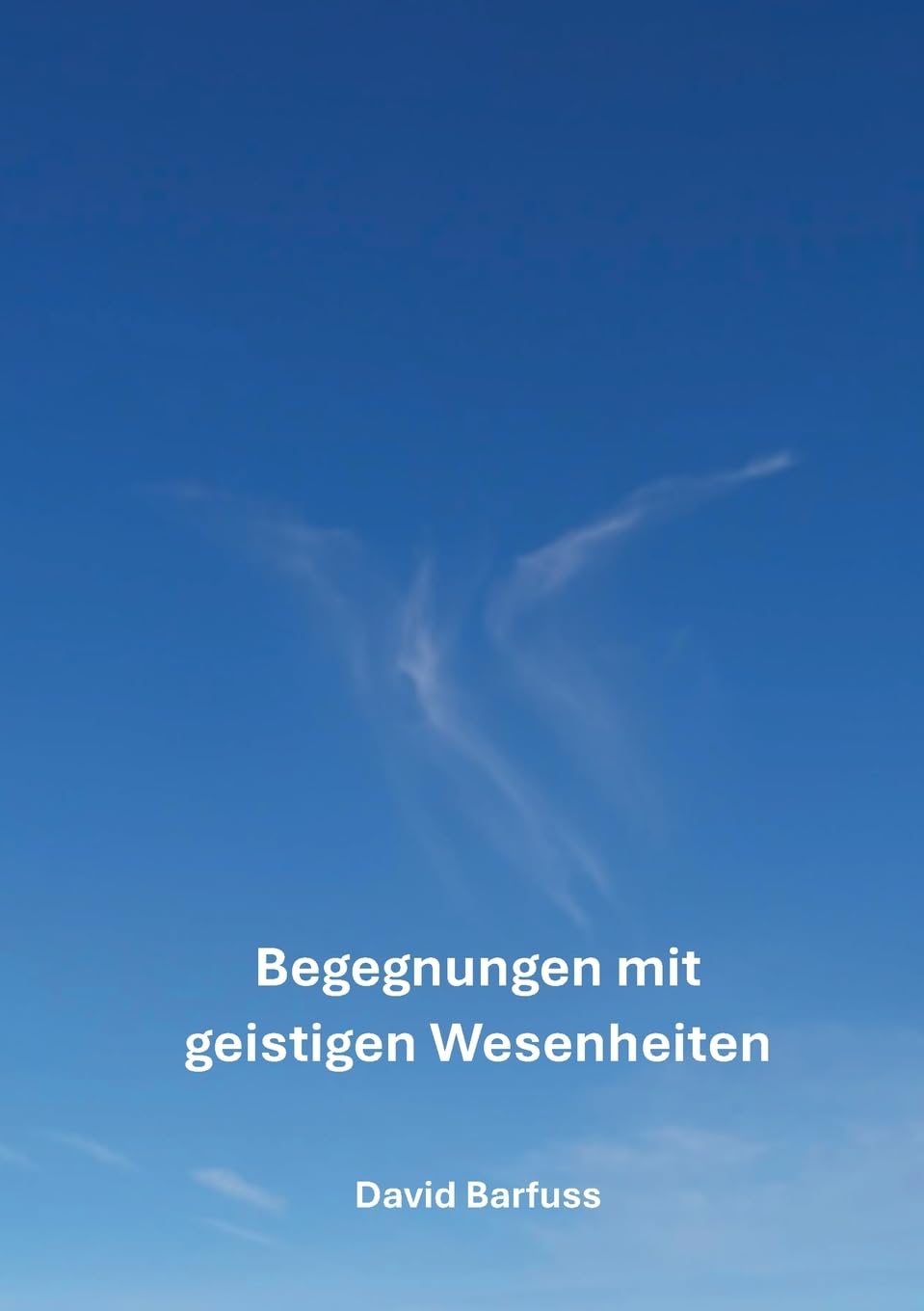 Begegnungen mit geistigen Wesenheiten: Ein spannendes Buch voller interessanter Geschichten und lehrreichen Erkenntnissen über die geistige Welt (Begegnungen mit Geistwesen)