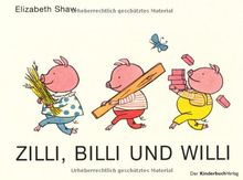 Zilli, Billi und Willi: Vierfarbiges Pappbilderbuch