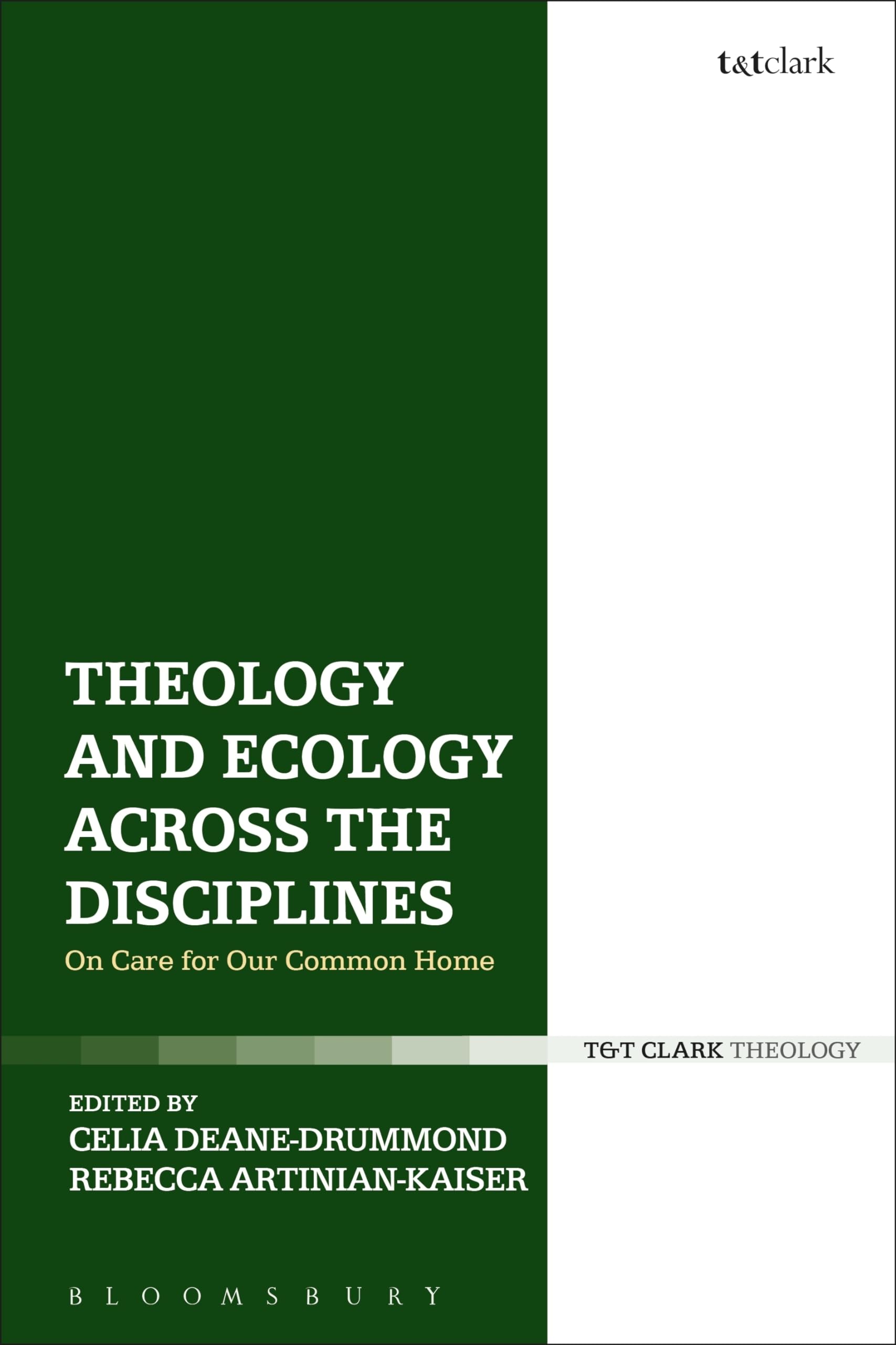 Theology and Ecology Across the Disciplines: On Care for Our Common Home (Religion and the University)