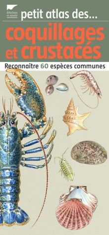 Petit atlas des coquillages et crustacés : reconnaître 60 espèces communes