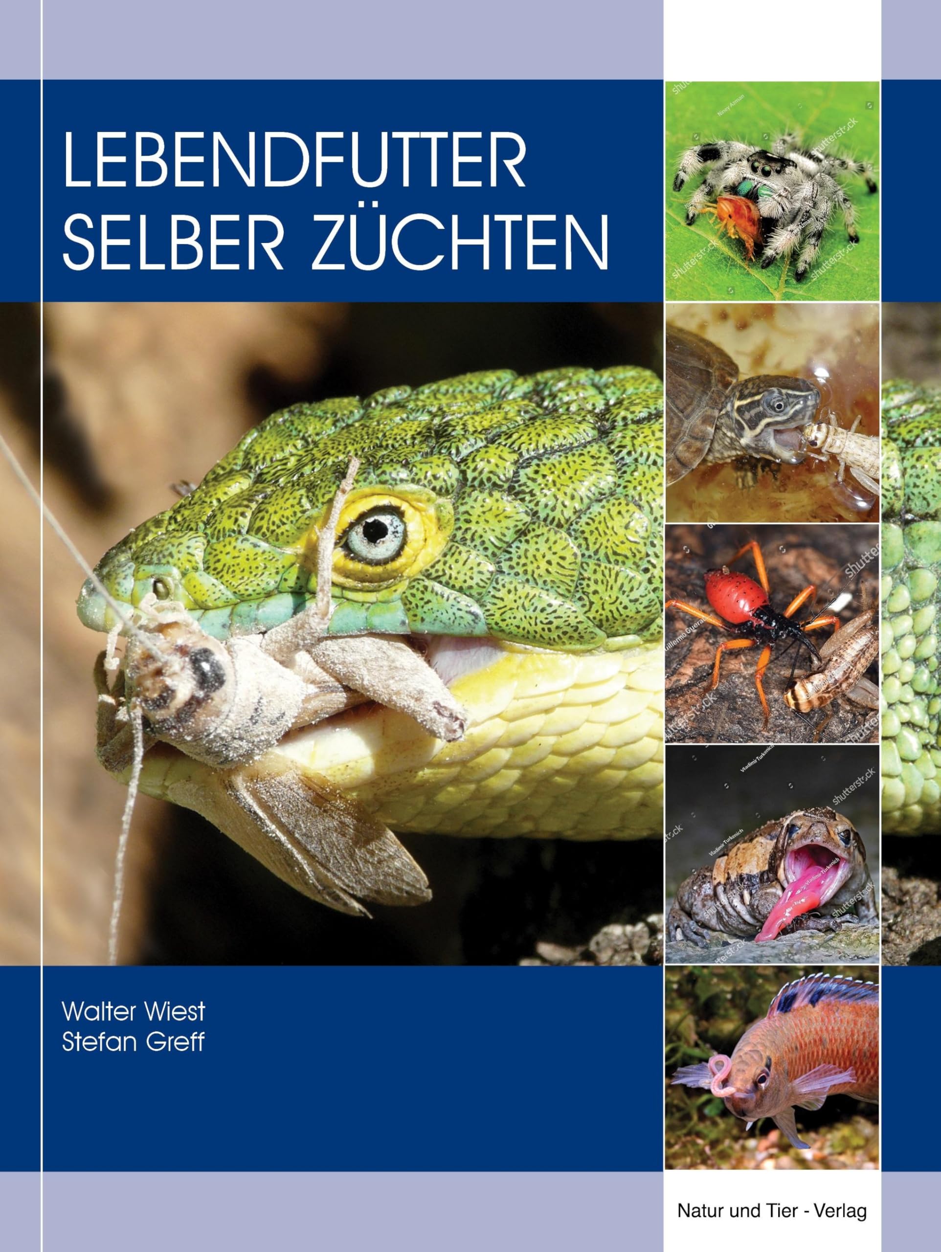 Wiest, Walter: Lebendfutter selber züchten
