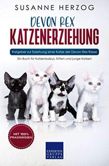 Devon Rex Katzenerziehung - Ratgeber zur Erziehung einer Katze der Devon Rex Rasse: Ein Buch für Katzenbabys, Kitten und junge Katzen