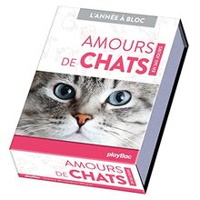 Amours de chats : en 365 jours