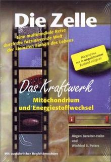 Die Zelle 2 - Das Kraftwerk