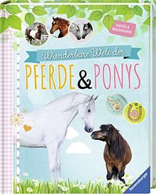 Wunderbare Welt der Pferde und Ponys