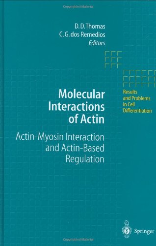 Molecular Interactions of Actin: Actin-Myosin Interaction and Actin-Based Regulation (Results and Problems in Cell Differentiation)