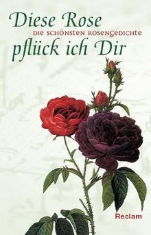 Diese Rose pflück ich dir: Die schönsten Rosengedichte