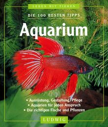 Die 100 besten Tipps Aquarium