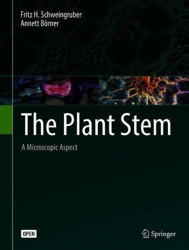 The Plant Stem: A Microscopic Aspect