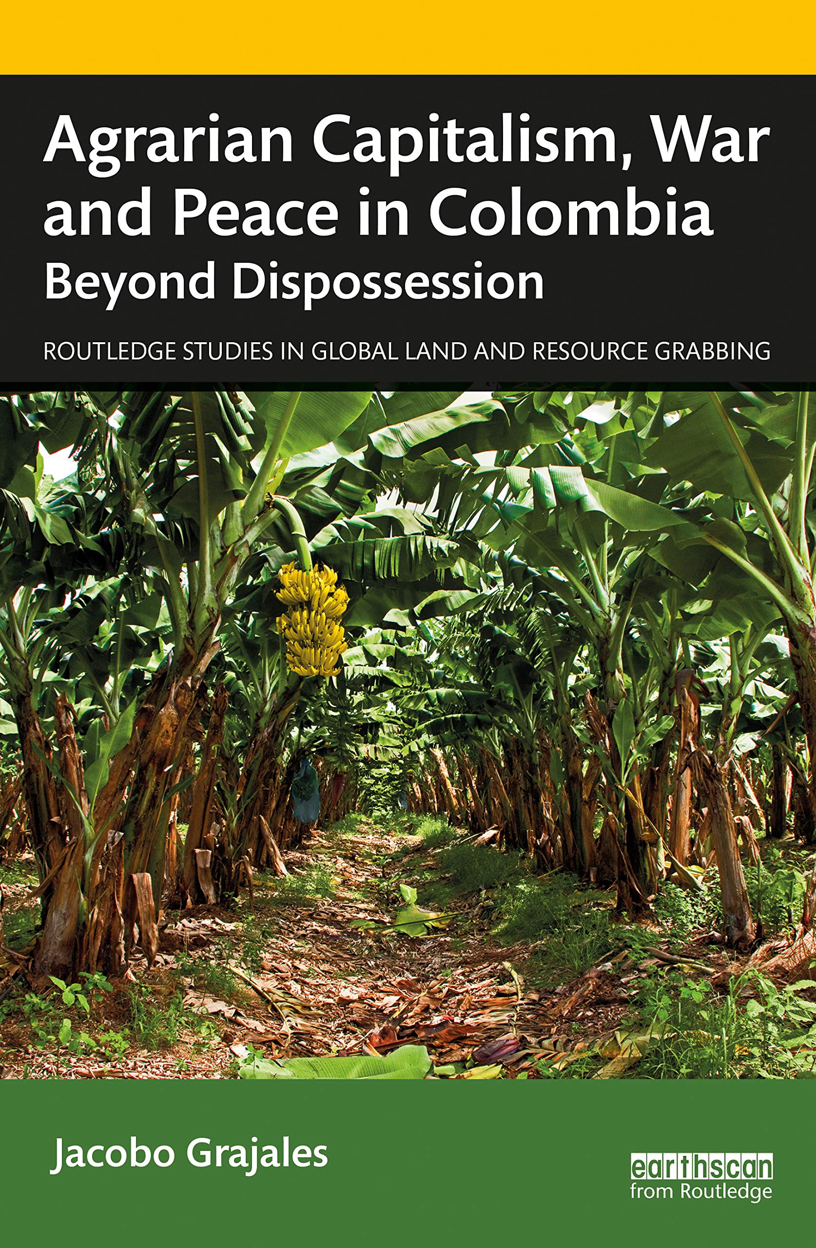 Agrarian Capitalism, War and Peace in Colombia: Beyond Dispossession (Routledge Studies in Global Land and Resource Grabbing)