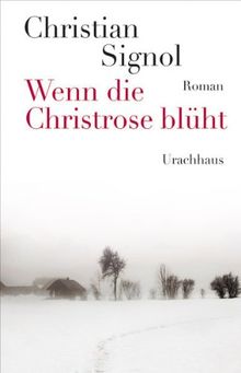 Wenn die Christrose blüht