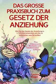 DAS GROSSE PRAXISBUCH ZUM GESETZ DER ANZIEHUNG! Wie Sie das Gesetz der Anziehung in 5 Schritten anwenden, um das zu bekommen, was Sie wollen!: Plus: Unbewusste Blockaden und Glaubenssätze auflösen