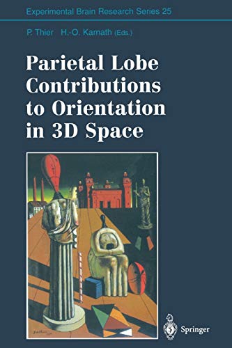 Parietal Lobe Contributions to Orientation in 3D Space (Experimental Brain Research Series) (Experimental Brain Research Series, 25, Band 25)
