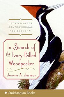 In Search of the Ivory-Billed Woodpecker von Jackson, Jerome A | Buch | Zustand sehr gut
