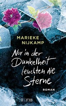 Nur in der Dunkelheit leuchten die Sterne: Roman