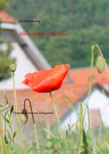 Allein hinter Paris Texas: 3 Jahre nach meinem Schlaganfall