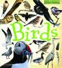 Birds (Wildlife Watchers)