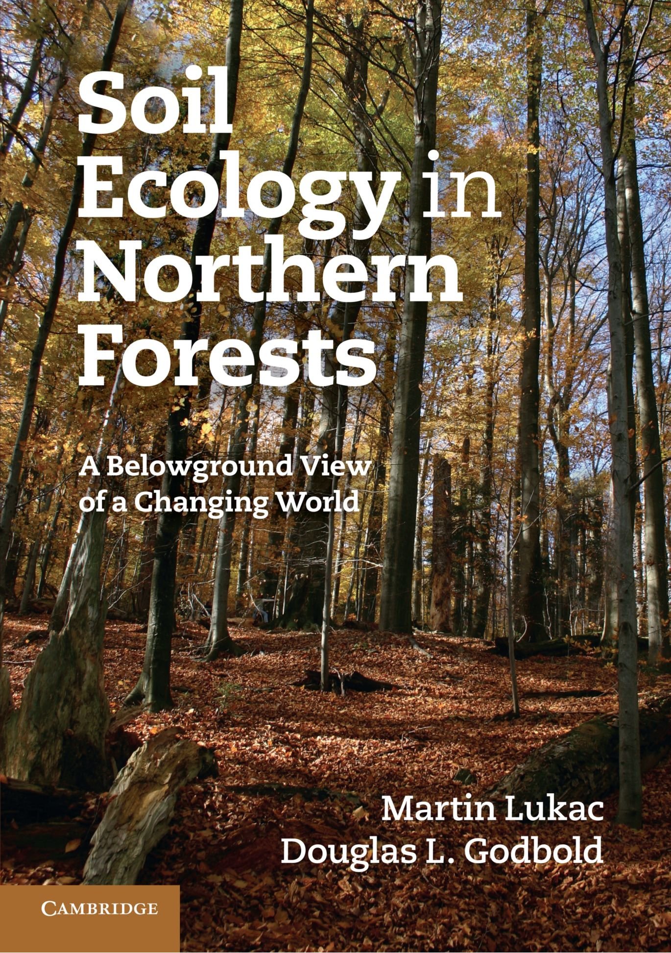 Soil Ecology in Northern Forests: A Belowground View of a Changing World