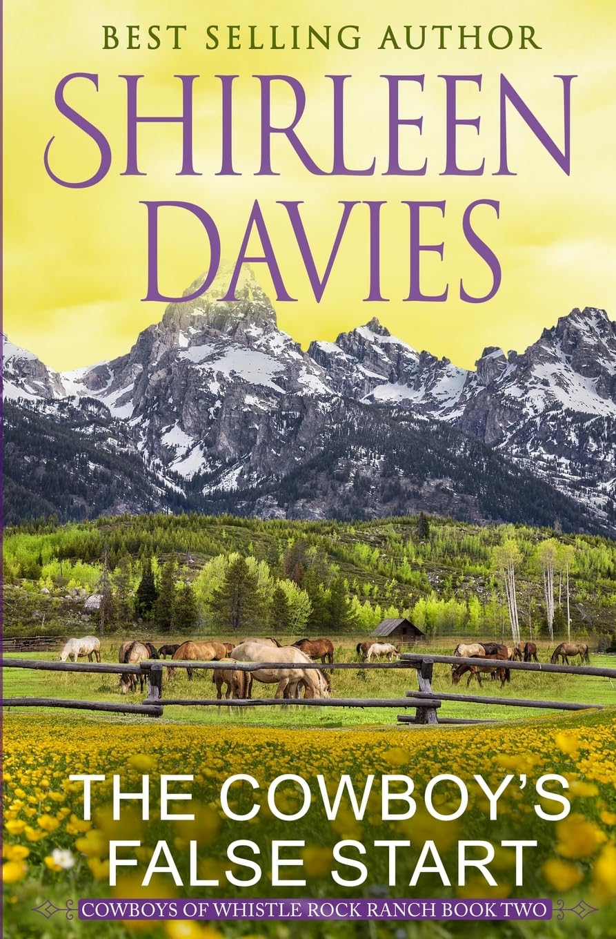 The Cowboy's False Start: Clean as a Whistle Contemporary Western Romance (Cowboys of Whistle Rock Ranch, Band 2)