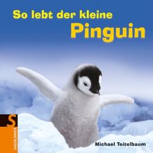 So lebt der kleine Pinguin