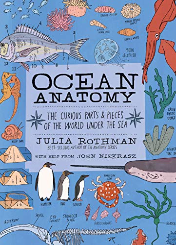 Julia Rothman Ocean Anatomy, A 28-Day Program To Realize The Power Of Meditation, The Curious Parts & Pieces Of The World Under The Sea