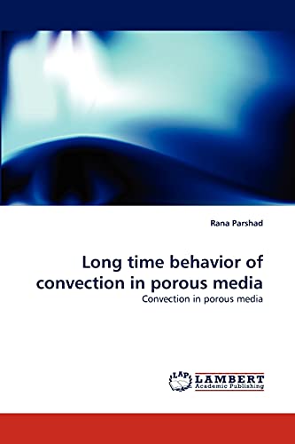Long time behavior of convection in porous media: Convection in porous media