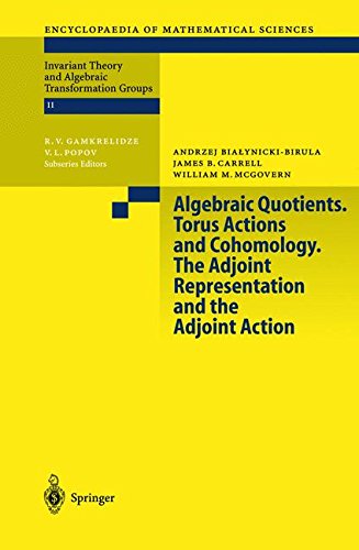 Algebraic Quotients. Torus Actions and Cohomology. The Adjoint Representation and the Adjoint Action (Encyclopaedia of Mathematical Sciences, Band 131)