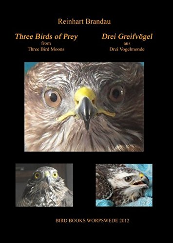 Three Birds of Prey - Drei Greifvögel (Bird Books Worpswede)