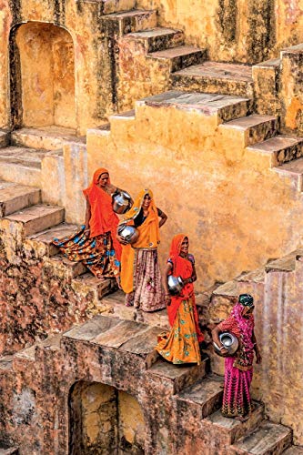 An Environmental History of India: From Earliest Times to the Twenty-First Century (New Approaches to Asian History, Band 18)