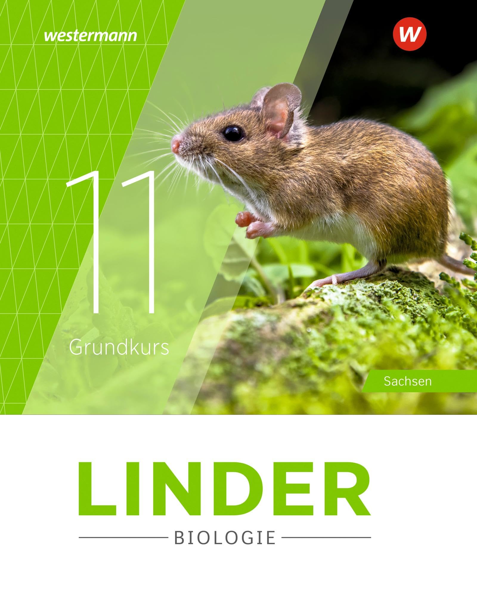LINDER Biologie SII - Ausgabe 2025 für Sachsen: Schulbuch 11 Grundkurs: Ausgabe 2025 - Sekundarstufe 2
