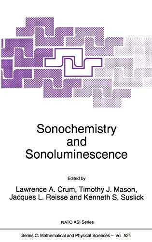 Sonochemistry and Sonoluminescence (Nato Science Series C:, 524, Band 524)