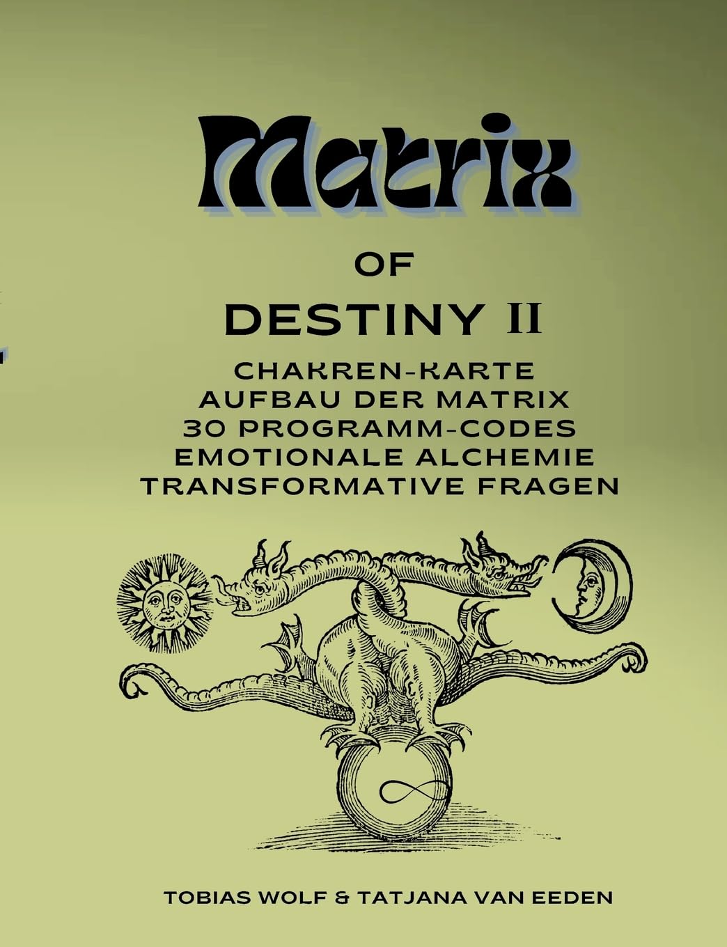 Matrix of Destiny II: Chakren-Karte, Aufbau der Matrix, 30 Programm-Codes, emotionale Alchemie, Transformative Fragen