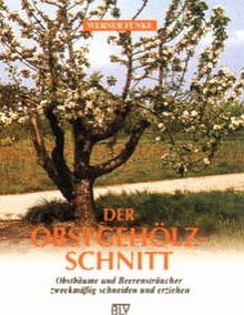 Der Obstgehölzschnitt