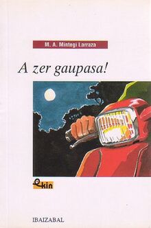 A zer gaupasa! (EKIN, Band 14)