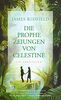 Die Prophezeiungen von Celestine: Ein Abenteuer. Das spirituelle Kultbuch