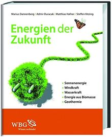 Energien der Zukunft: Sonne, Wind, Wasser, Biomasse, Geothermie