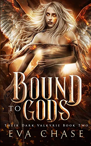 Bound to Gods: A Reverse Harem Urban Fantasy (Their Dark Valkyire, Band 2)
