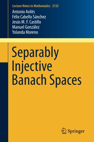 Separably Injective Banach Spaces - Antonio Aviles Félix Cabello Sánchez Jesus M F Castillo Kartoniert (TB)
