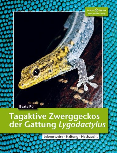 Röll, Beate: Tagaktive Zweggeckos der Gattung Lygodactylus