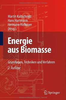 Energie aus Biomasse: Grundlagen, Techniken und Verfahren